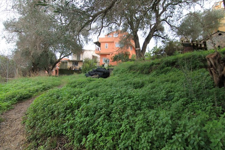 Realty photo 1