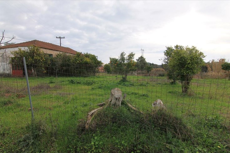 Realty photo 2