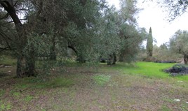 Γη 6400 μ² στην Κέρκυρα