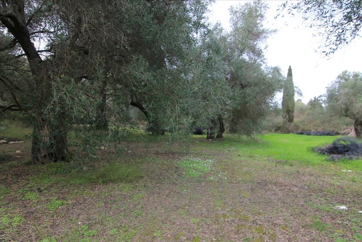 Realty photo 1