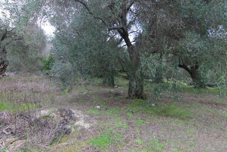Realty photo 2