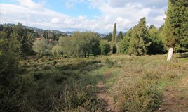 Парцел 6000 m² на о-в Корфу