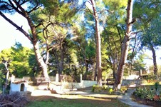 Property 29450 photo 5