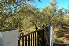 Property 29450 photo 37