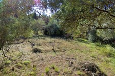 Property 29450 photo 38