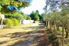 Property 29450 photo 39