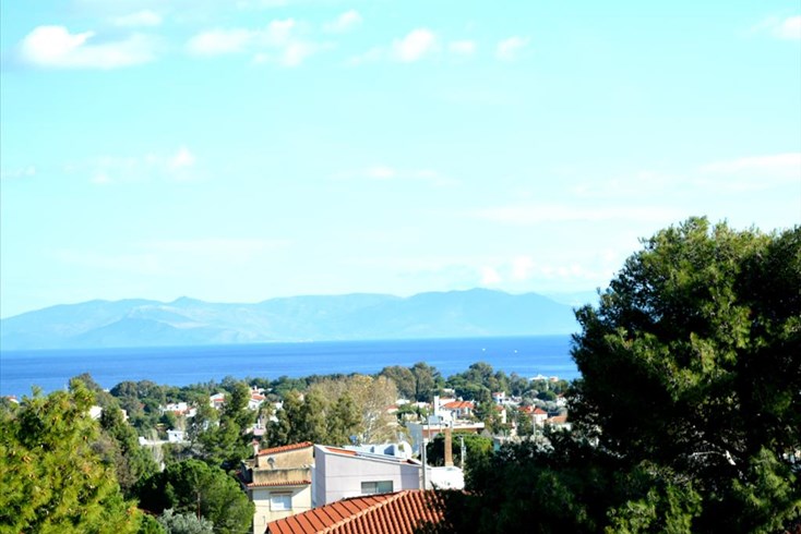 Realty photo 1