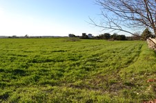 Property 29496 photo 1
