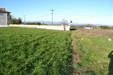 Property 29496 photo 6