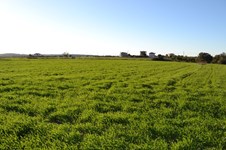 Property 29496 photo 4
