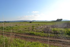 Property 29497 photo 2