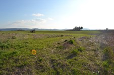 Property 29497 photo 3