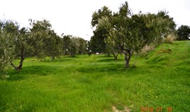 Land 2240 m² auf Kreta