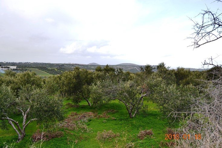 Realty photo 2
