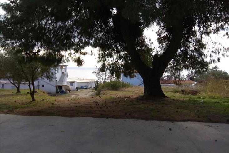 Realty photo 1