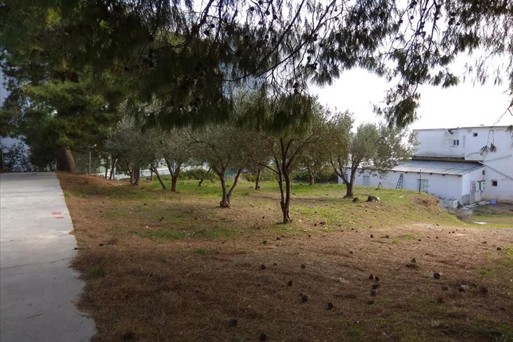 Realty photo 2