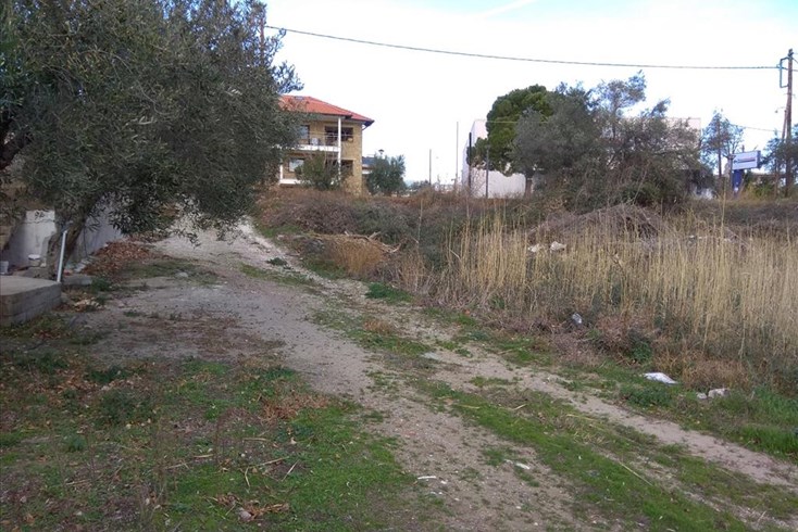 Realty photo 3