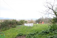 Property 29583 photo 2