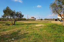 Property 29633 photo 9
