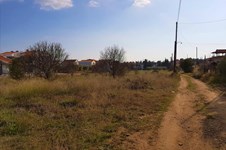 Property 29633 photo 19