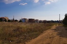 Property 29633 photo 20