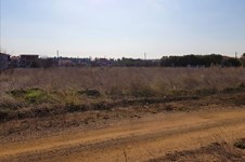 Property 29633 photo 22