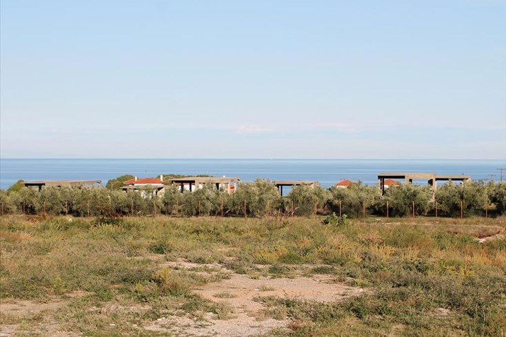 Realty photo 1