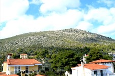 Property 29678 photo 17