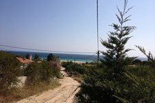 Property 29697 photo 6
