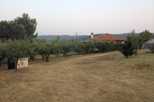 Property 29697 photo 8