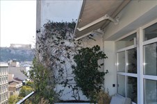 Property 29698 photo 7