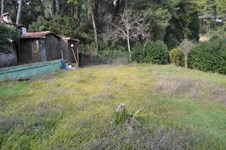 Property 29747 photo 6