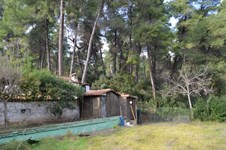 Property 29747 photo 5