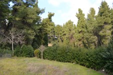Property 29747 photo 4