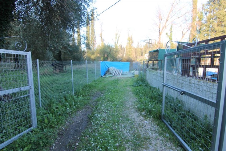 Realty photo 1