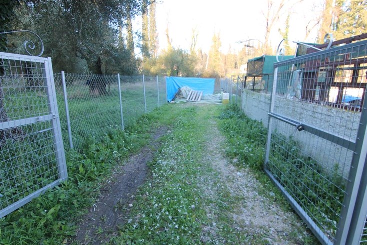 Realty photo 2