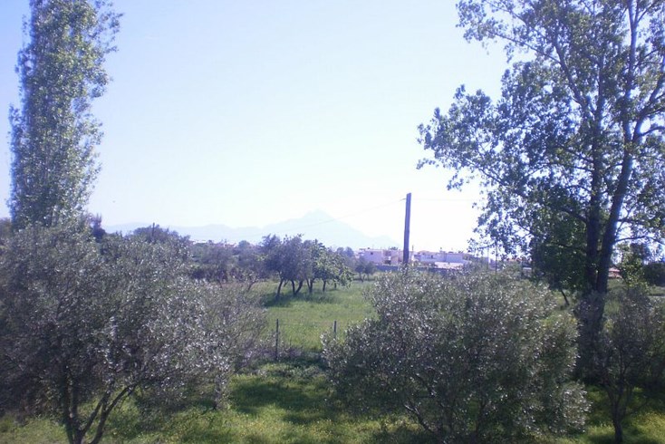 Realty photo 2