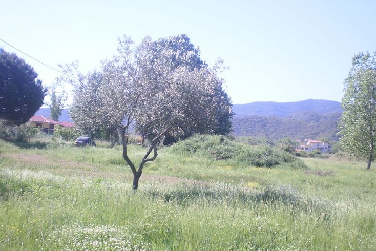 Realty photo 3