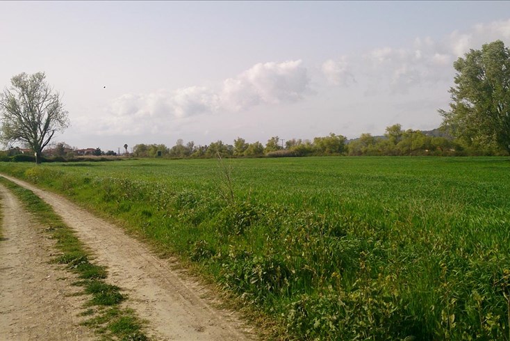 Realty photo 2