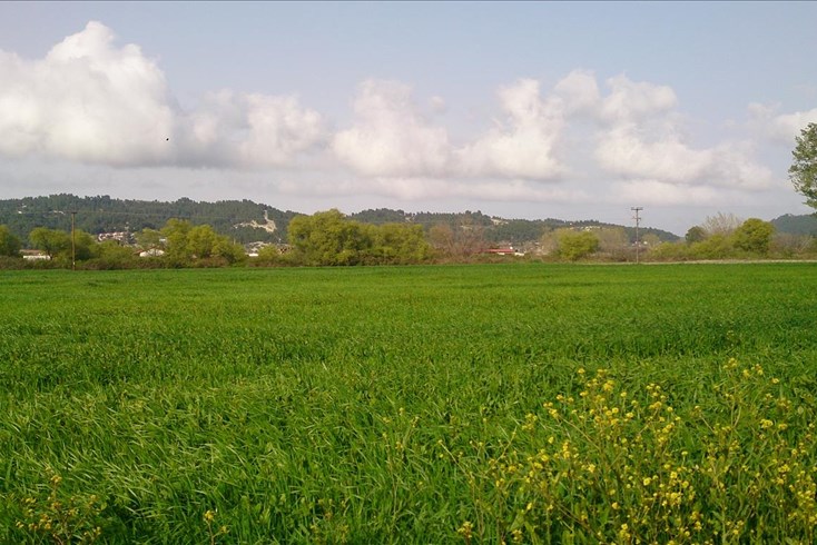 Realty photo 1