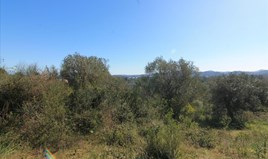 სასტუმრო 4131 m² კორფუზე