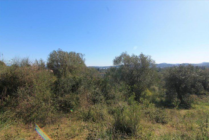 Realty photo 1