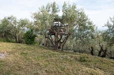 Property 29923 photo 42