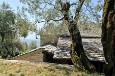 Property 29923 photo 14