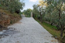 Property 29923 photo 45