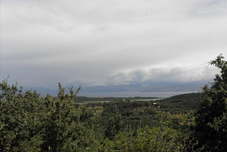 Realty photo 2