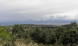 Парцел 15000 m² на о-в Корфу