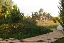Property 29959 photo 6