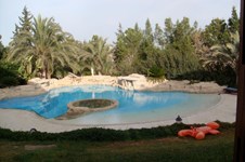 Property 29959 photo 5