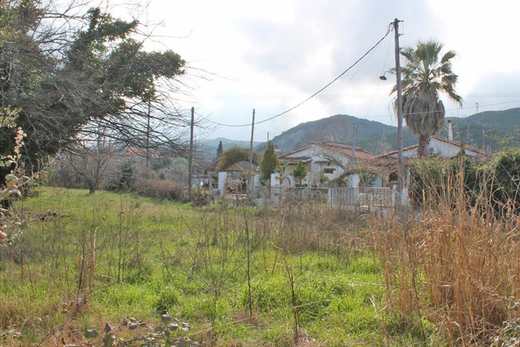 Realty photo 3